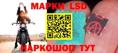 ПСИЛОЦИБИНОВЫЕ ГРИБЫ Нарткала