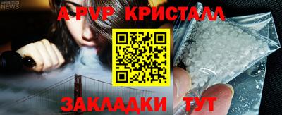 индика Нальчик