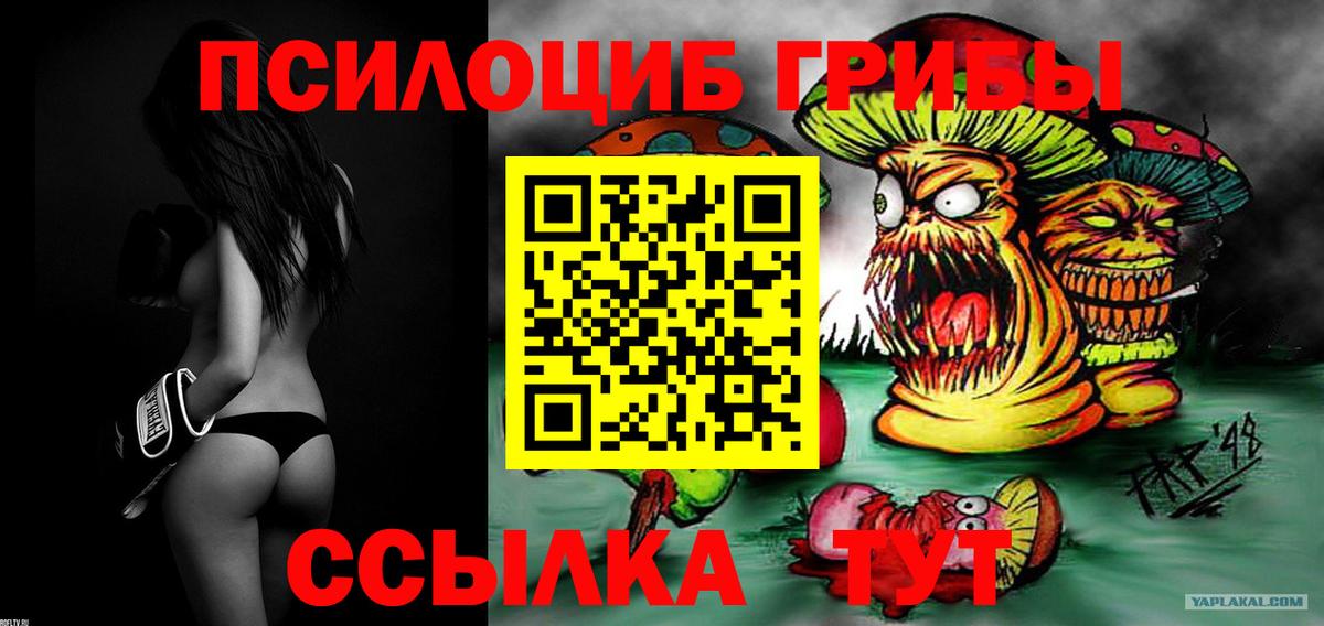 Псилоцибиновые грибы Cubensis  Галлюциногенные грибы мицелий  Вход с VPN  Югорск 